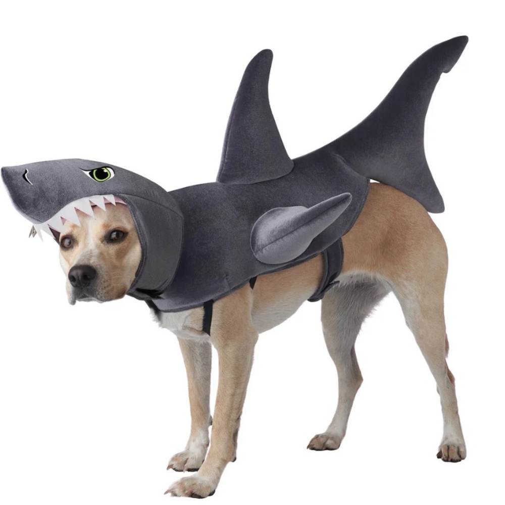 NWT FN Pup Not So Scary Shark Costume